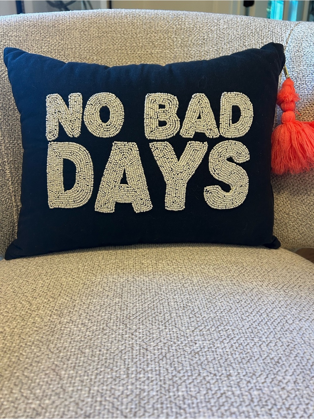 Pottery Barn Teen Emily & Meritt No Bad Days Pillow Cover with Insert, 12x16”